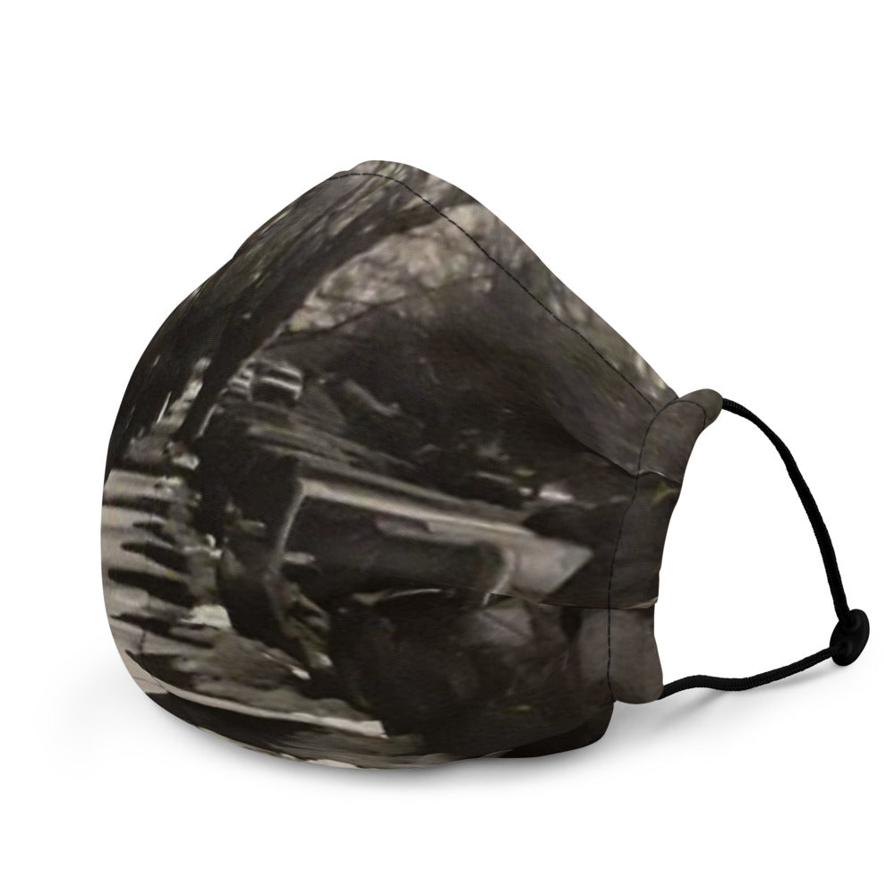 Premium face mask